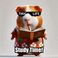 Guinea Pig Study GIF by Guinea Gambino