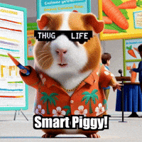 Guinea Pig Education GIF by Guinea Gambino