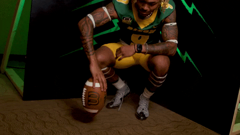 Bison Hart GIF by NDSU Athletics