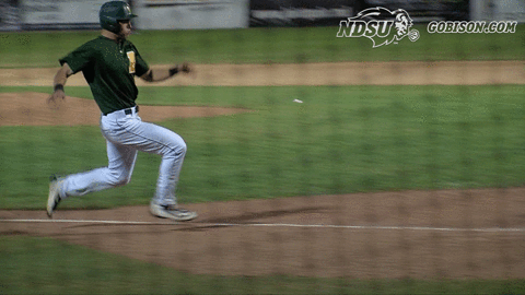 north dakota state baseball GIF by NDSU Athletics