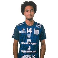 Nba Hand Sticker by GRAND BESANÇON DOUBS HANDBALL