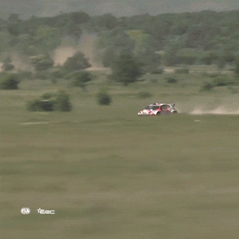 Speeding Fast Car GIF by FIA European Rally Championship