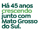 45 Anos Sticker by Famasul