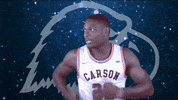 College Basketball GIF by Carson-Newman Athletics