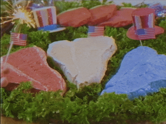 4Th Of July America GIF by Meow Wolf