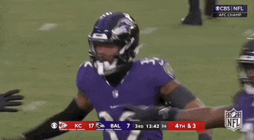 Baltimore Ravens Football GIF by NFL