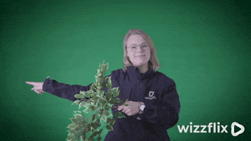 Wizzflix_ green look good job watch GIF