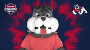 Sad College Sports GIF by College Colors Day