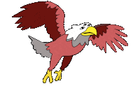Fly Eagle Sticker