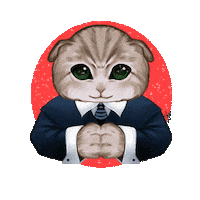 Cat Meme Sticker