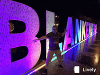 ringocalcoen ringoblankenberge GIF