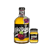 Turn Up Passion Sticker by MoShine by Nelly