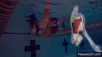 skillsnt giphyupload GIF