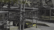 Palm Springs Tram GIF by DIIMSA Stock