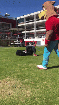 Ku GIF by UPAEP