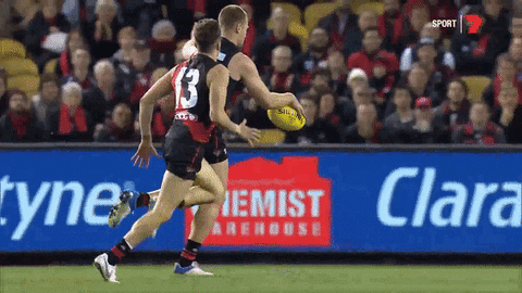 sport afl GIF by Essendon FC