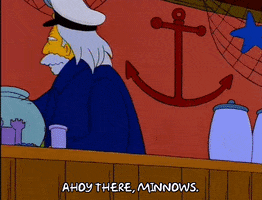 bart simpson captain mccallister GIF