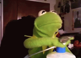 kermit the frog GIF