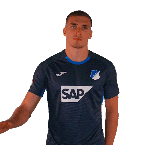 Grischa Prömel Sport Sticker by TSG Hoffenheim