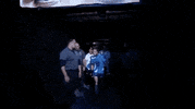 ufc 231 sport GIF by UFC