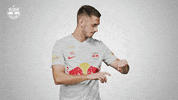 Lets Go Football GIF by FC Red Bull Salzburg