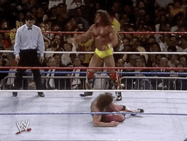 Ultimate Warrior Sport GIF by WWE