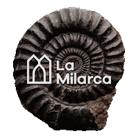 lamilarcamuseo monterrey nuevo leon secretaria de cultura lamilarcamuseo Sticker
