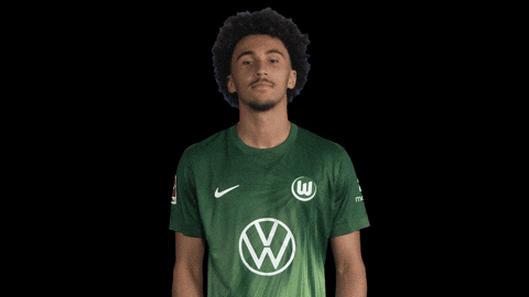 France No GIF by VfL Wolfsburg