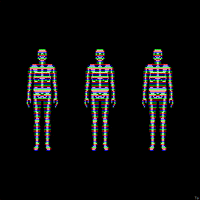 X-Ray Pixel GIF by Trevor Anderson
