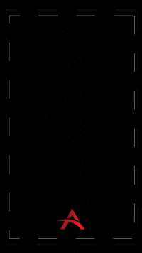 Truck Road GIF by Agramont Worldwide Logistics