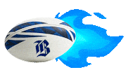 Rugby Chile Sticker by Banco de  Chile