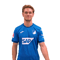 Sport Bundesliga Sticker by TSG Hoffenheim