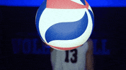 Gocougs Ncaavolleyball GIF by BYU Cougars