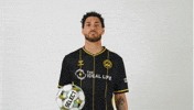 Usl Championship Soccer GIF by Charleston Battery