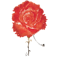 Flower Rose Sticker by Maria Reis Rocha