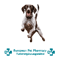 Canicross Sticker by Europeanpetpharmacy
