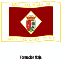 Bandera Andalucia GIF by Formación Ninja