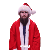 Merry Christmas Sticker by SWR3