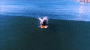 LX_GIFS surfing socal lx GIF