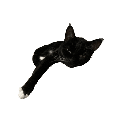Tuxedo Cat Sticker