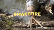 Atlasformen adventure wildlife wood survival GIF