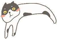 Cat Sticker