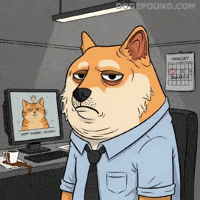 Sad Over It GIF by Doge Pound
