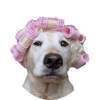 Sleepy Good Night Sticker by imoji