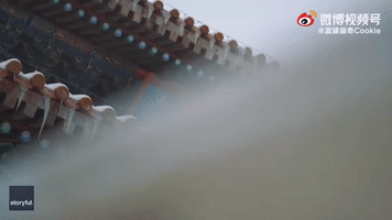 Snow Dusts Beijing's Forbidden City