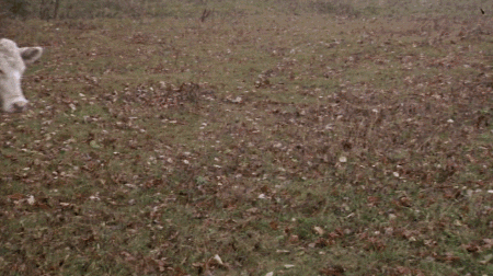 Top Secret Boots GIF
