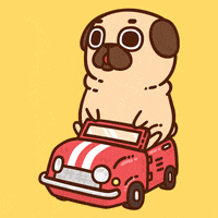 GIF by Puglie Pug