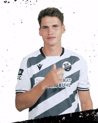 3Liga GIF by SV Sandhausen