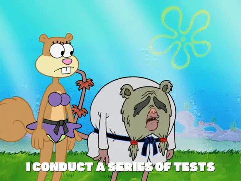 season 8 bubble troubles GIF by SpongeBob SquarePants