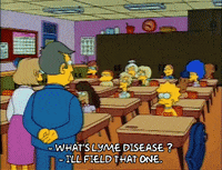 Season 2 Miss Hoover GIF by The Simpsons